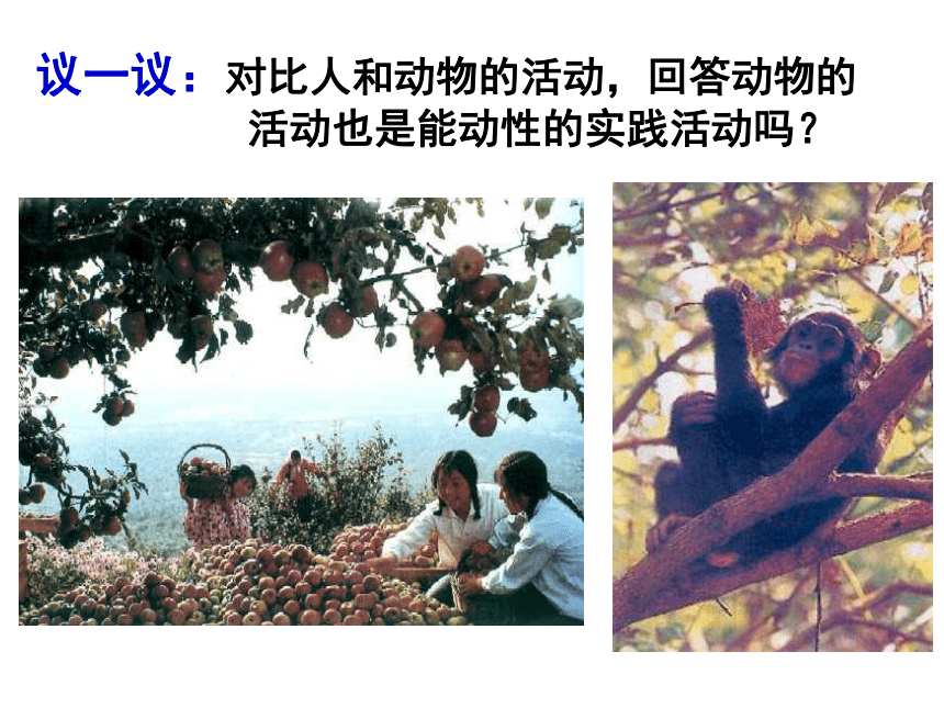 人的认识从何而来课件 (共59张PPT)