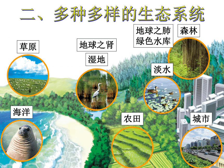 1.2.3生物圈是最大的生态系统 课件 （共10张PPT）