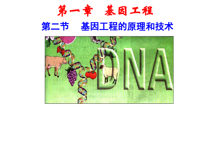 1.2-基因工程的基本操作步骤(43张PPT)