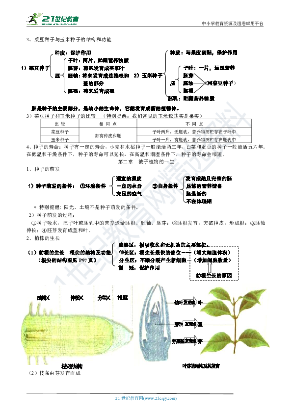 人教版初中生物学知识全覆盖（三）第三单元·生物圈中的绿色植物