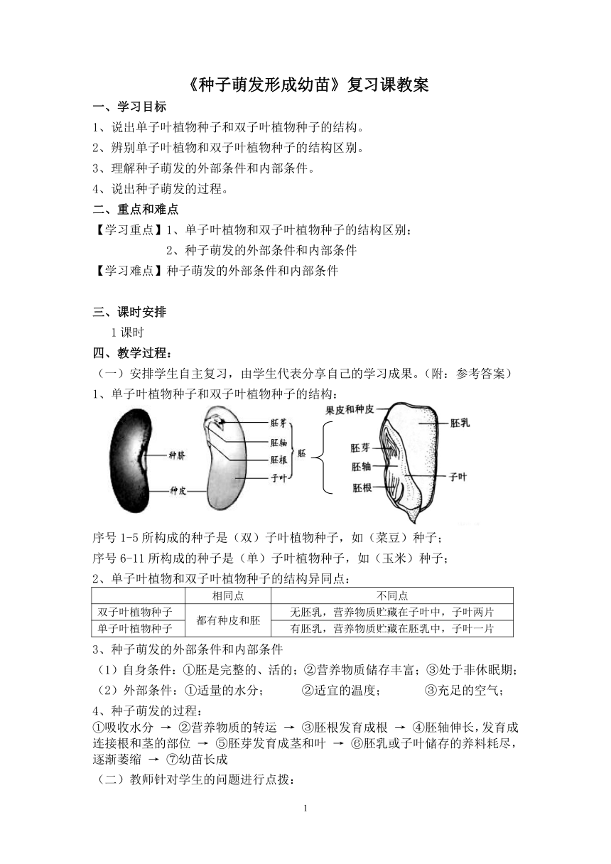 北师大版生物七年级上册61种子萌发形成幼苗6复习教案