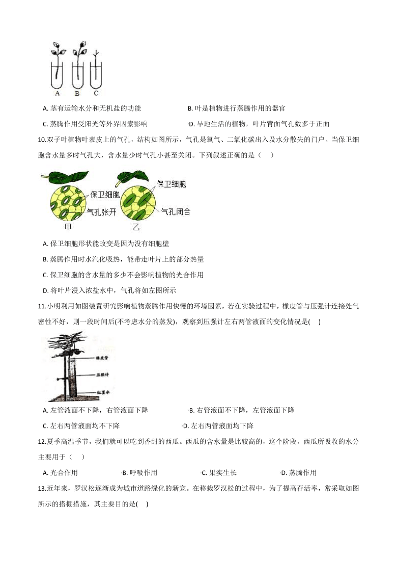2020-2021学年浙教版科学八年级下册 4.5植物的叶与蒸腾作用 同步练习（含答案）