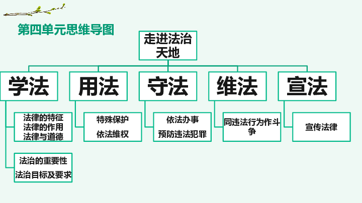 走进法治天地思维导图图片