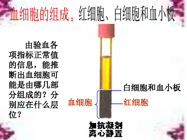 北师大版七下生物 9.1血液 课件(26张PPT)