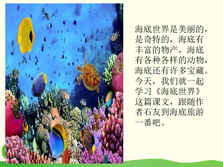 三年级下册语文课件-23.海底世界（人教部编版）(共36张PPT)
