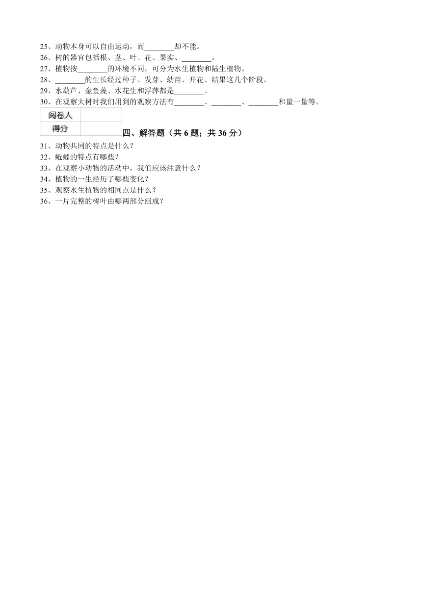 三年级（教科版）科学上册期中检测试卷