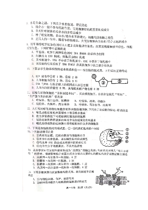 湖南省衡阳县2018-2019学年高一上学期期末考试生物试题 扫描版