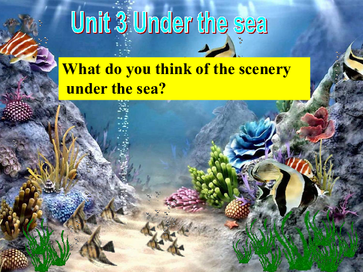 人教版高中英语选修七Unit 3 Under the sea warming up and reading课件(共38张PPT)