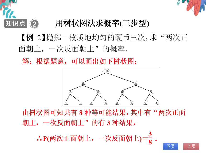 如何画树状图求概率图片