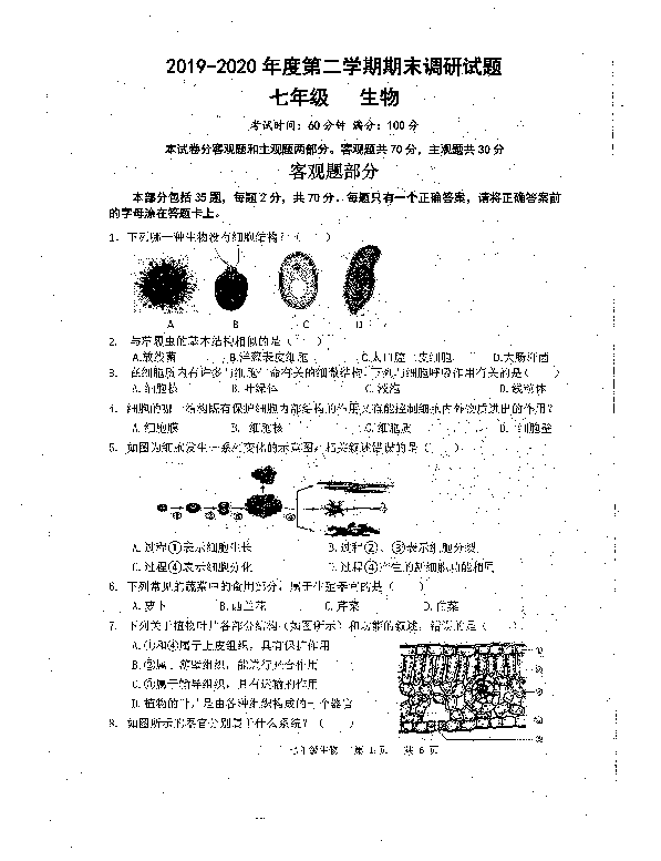 江苏省仪征市2019—2020学年七年级第二学期期末测试生物试卷（PDF版，无答案）