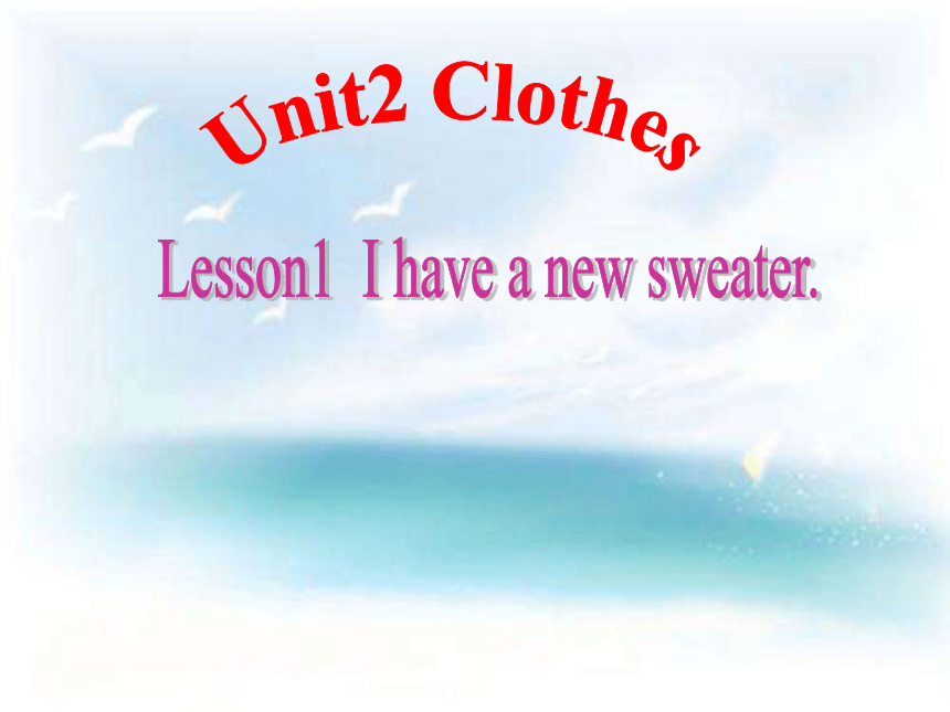 Lesson 1 I have a new sweater 课件