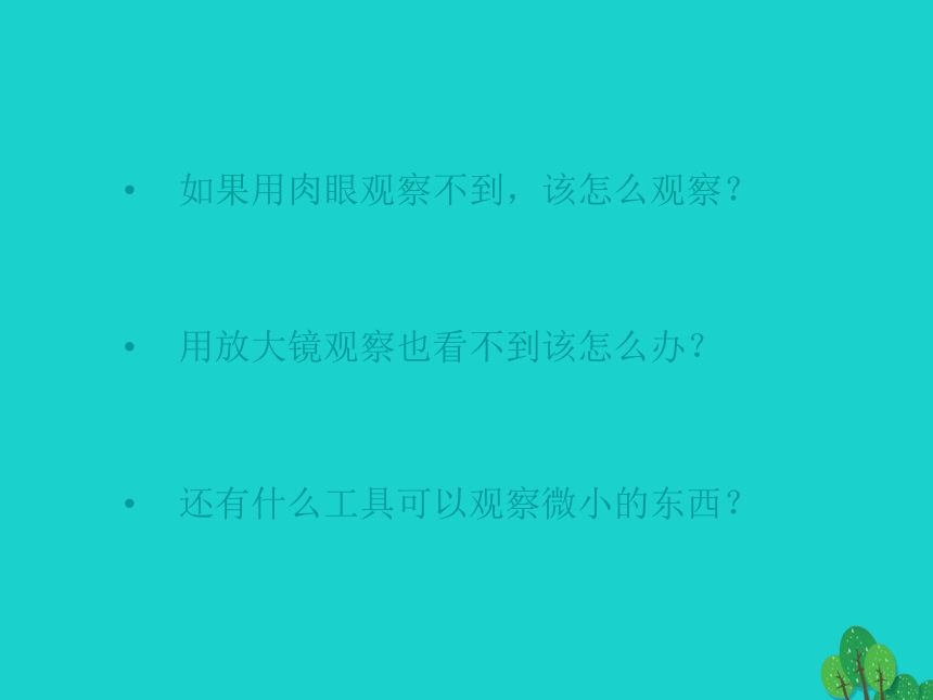 六年级科学上册水滴里的生物课件苏教版