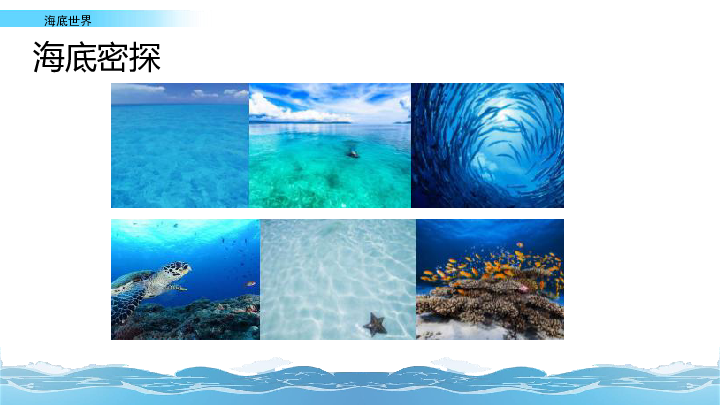 7 海的故事 海底世界 课件（69张PPT）