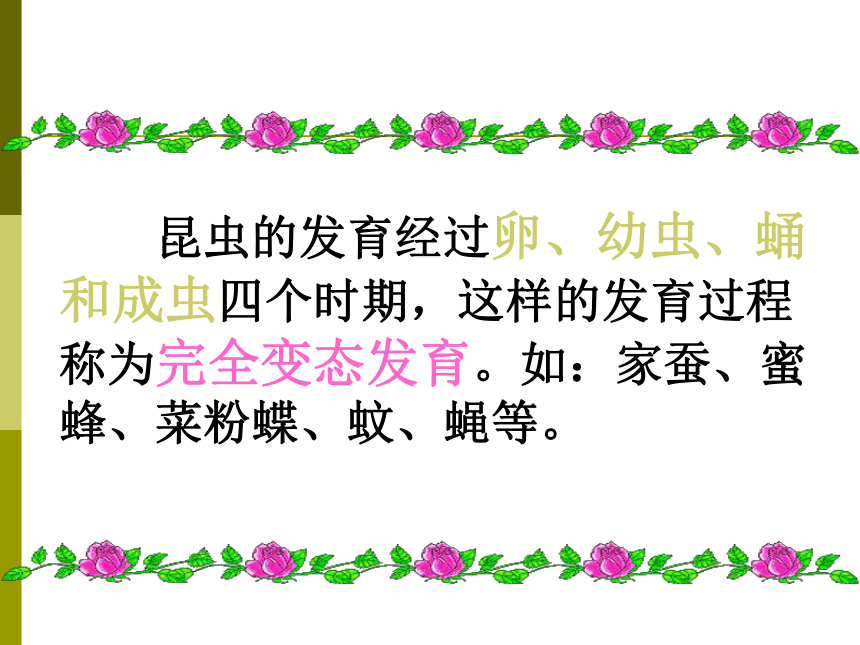 人教版八年级下册生物第七单元第一章第二节昆虫的生殖和发育 课件（共35张ppt）