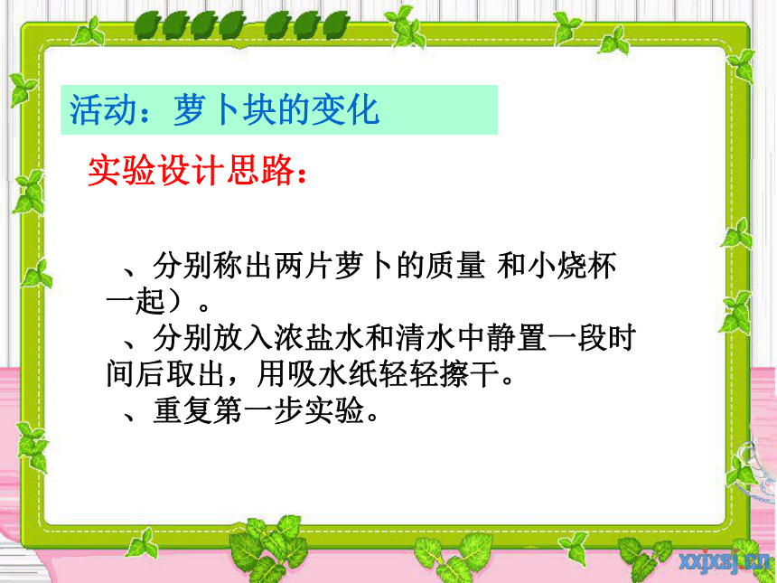 4.2 水在植物体中的代谢  课件(共18张PPT)