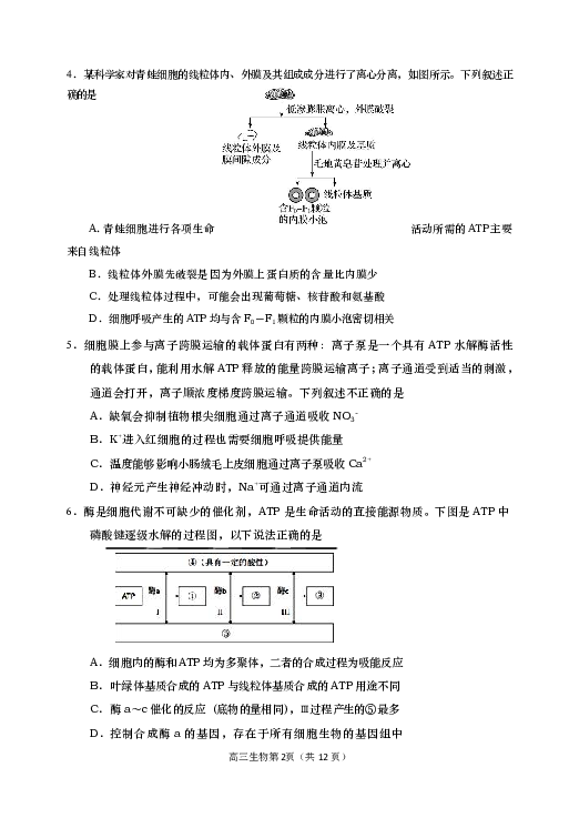 山东省青岛胶州市2020届高三上学期期末考试生物试题