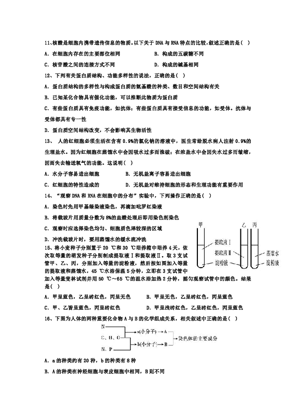 寧夏育才中學2016屆高三上學期第二次月考生物試題