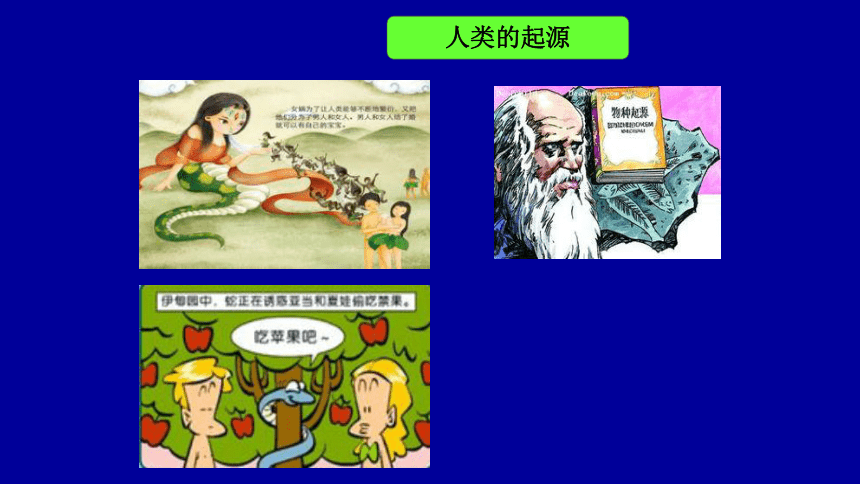 部编版六上历史 第1课 中国早期人类的代表—北京人 课件37张（）