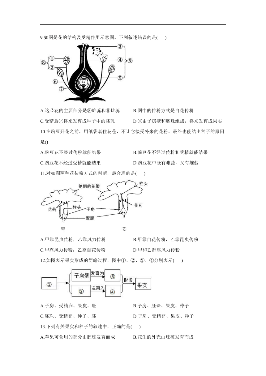 3.2.3开花和结果同步练习（word版含解析）2021-2022学年人教版生物七年级上册