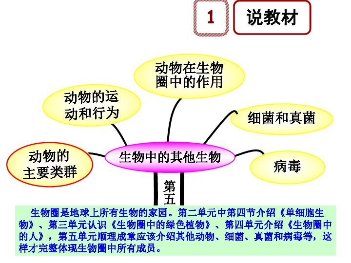 人教版八年级上册生物第五单元　第一章第一节 腔肠动物和扁形动物说课课件（24张幻灯片）