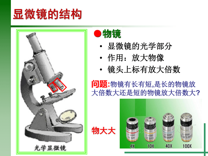 2.2 细胞（2）显微镜的使用（课件 20张ppt）