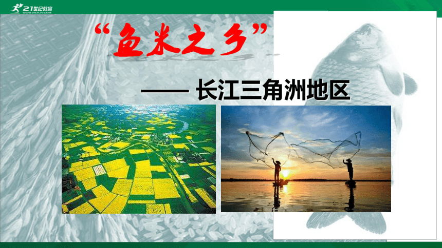 7.2 “鱼米之乡”——长江三角洲地区课件（共40张PPT）
