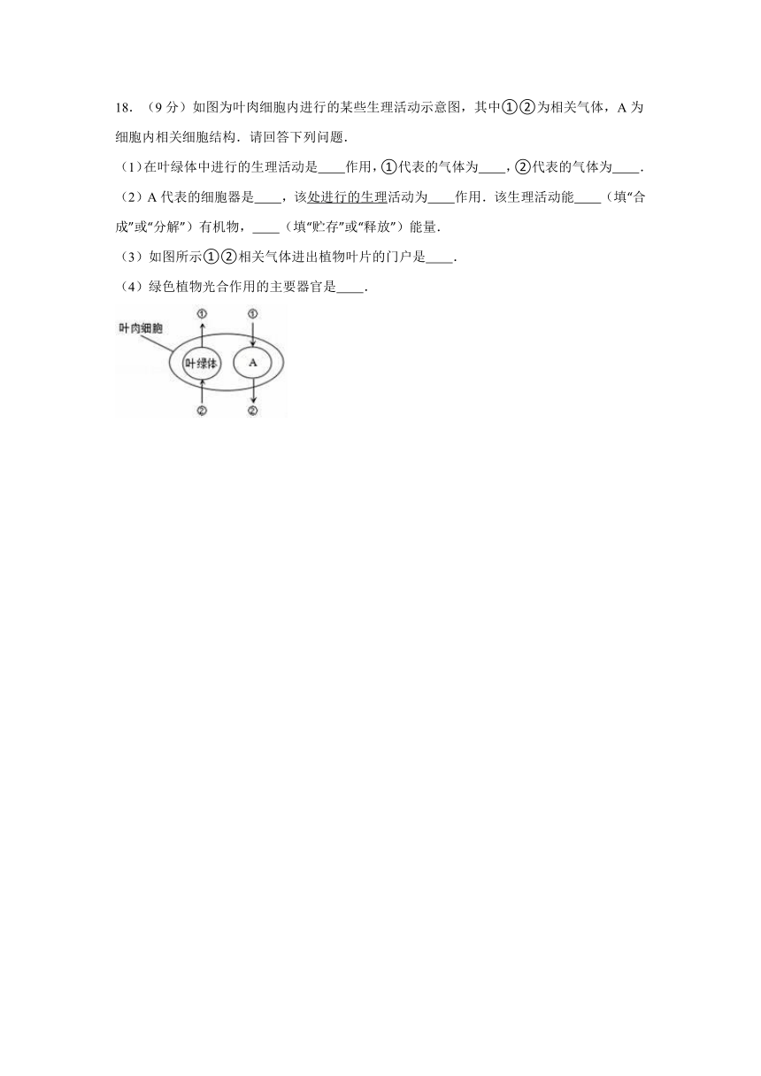 甘肃省白银市白银区稀土中学2016-2017学年九年级（上）期中生物试卷(解析版)