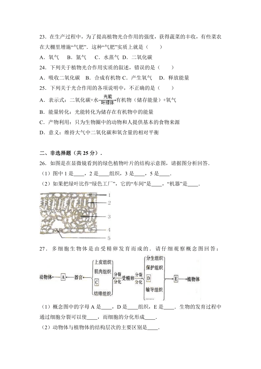 贵州省铜仁地区石阡县汤山中学2016-2017学年七年级（上）月考生物试卷（11月份）（解析版）