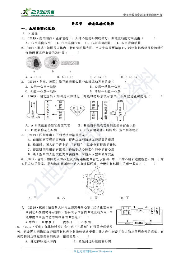 第三节 物质运输的途径 真题分类试卷（含答案）