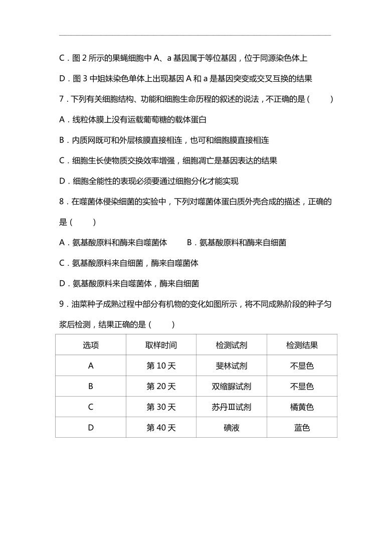 湖南省茶陵三中2021届高三上学期第一次月考生物试题（仅有选择题答案）