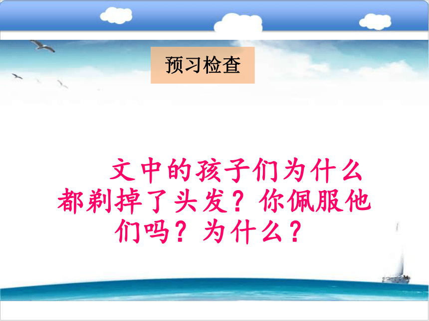 17   一群光头男孩儿课件