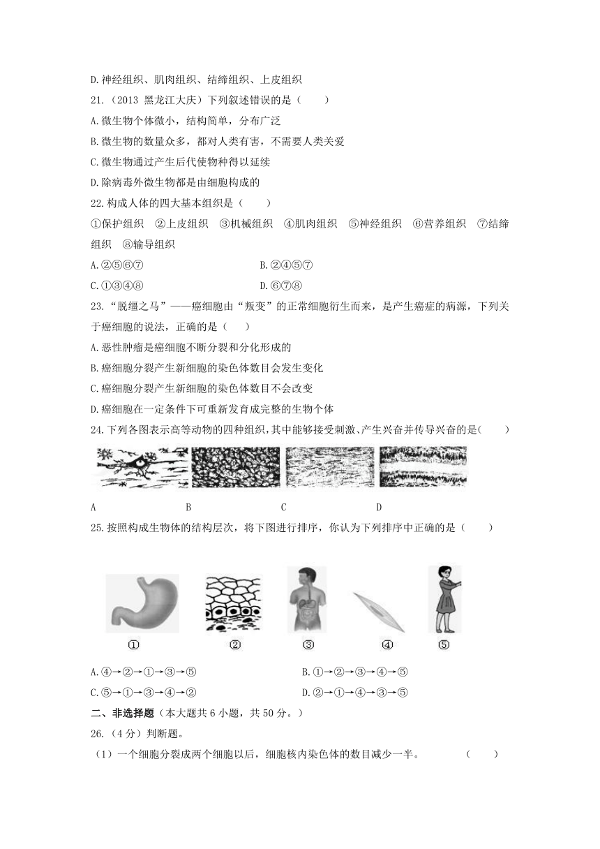 《细胞是生物体生命活动的基本单位》测试卷