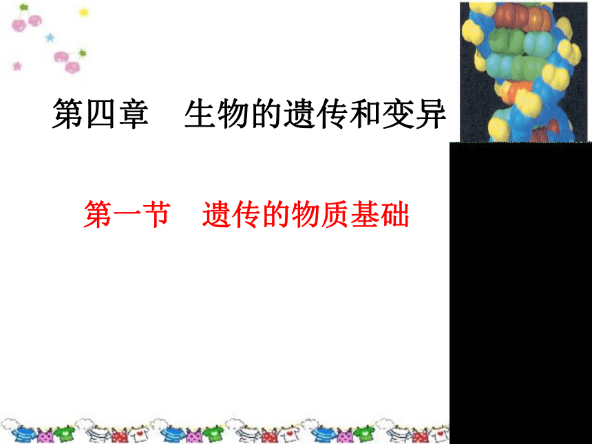 济南版八年级上册第七单元第四章第一节 遗传的物质基础课件 （共25张PPT）