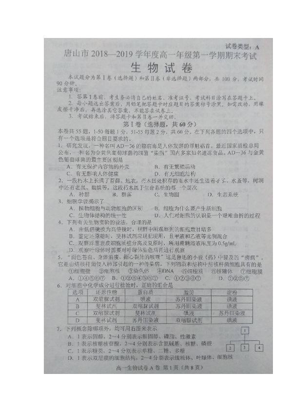 河北省唐山市2018-2019学年高一上学期期末考试A卷生物试题 扫描版