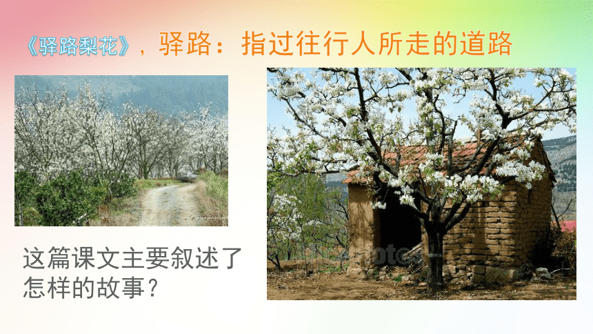 驿路梨花 课件