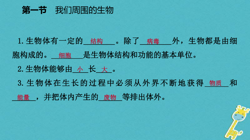 我们周围的生物课件(20张PPT)