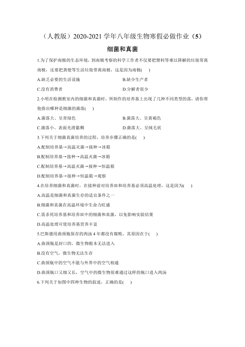 （人教版）河南省郑州市2020-2021学年八年级生物寒假必做作业（5）细菌和真菌（Word版，含解析）