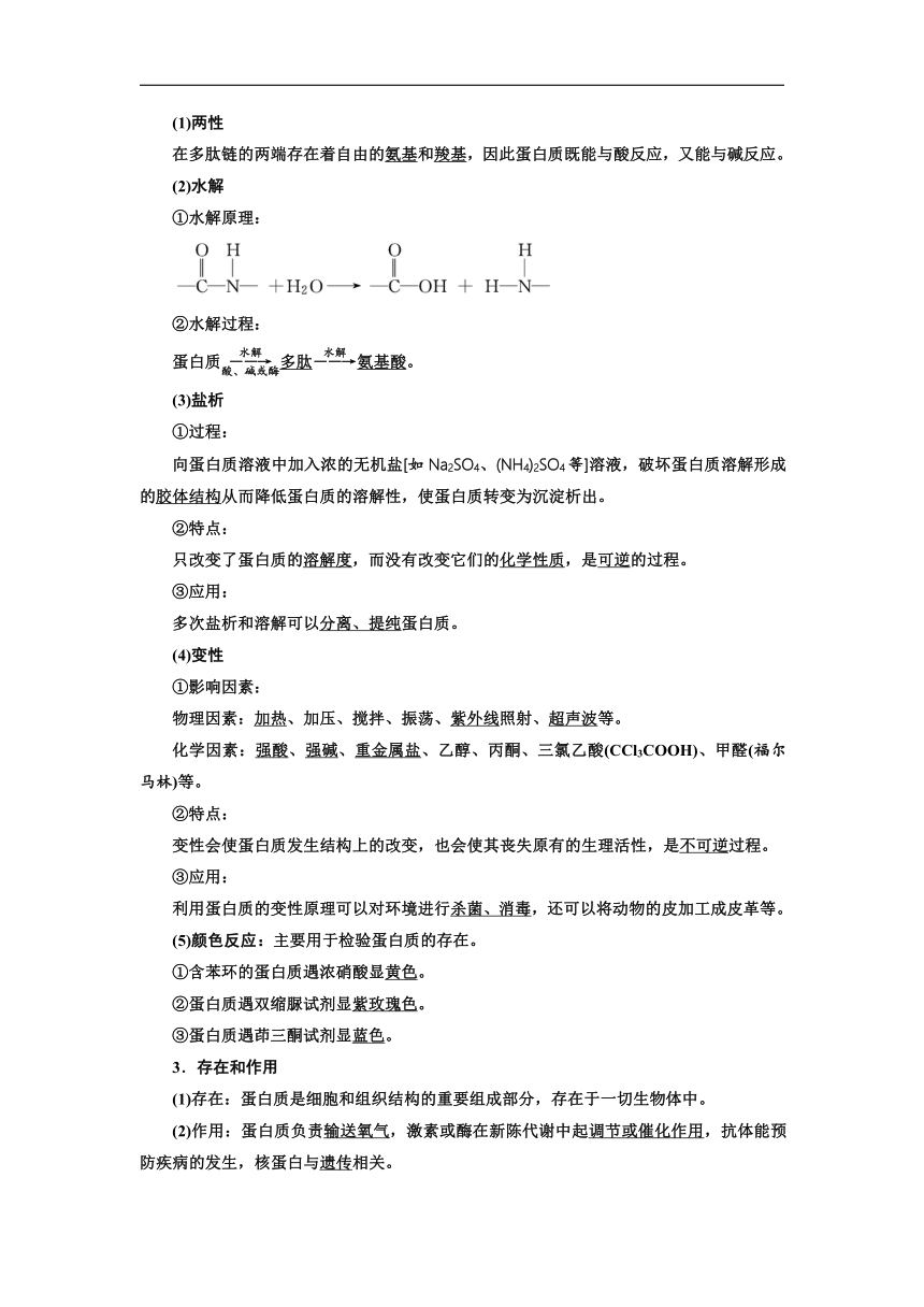 2017-2018学年高二化学三维设计浙江专版选修5学案：专题5 第2单元 氨基酸　蛋白质