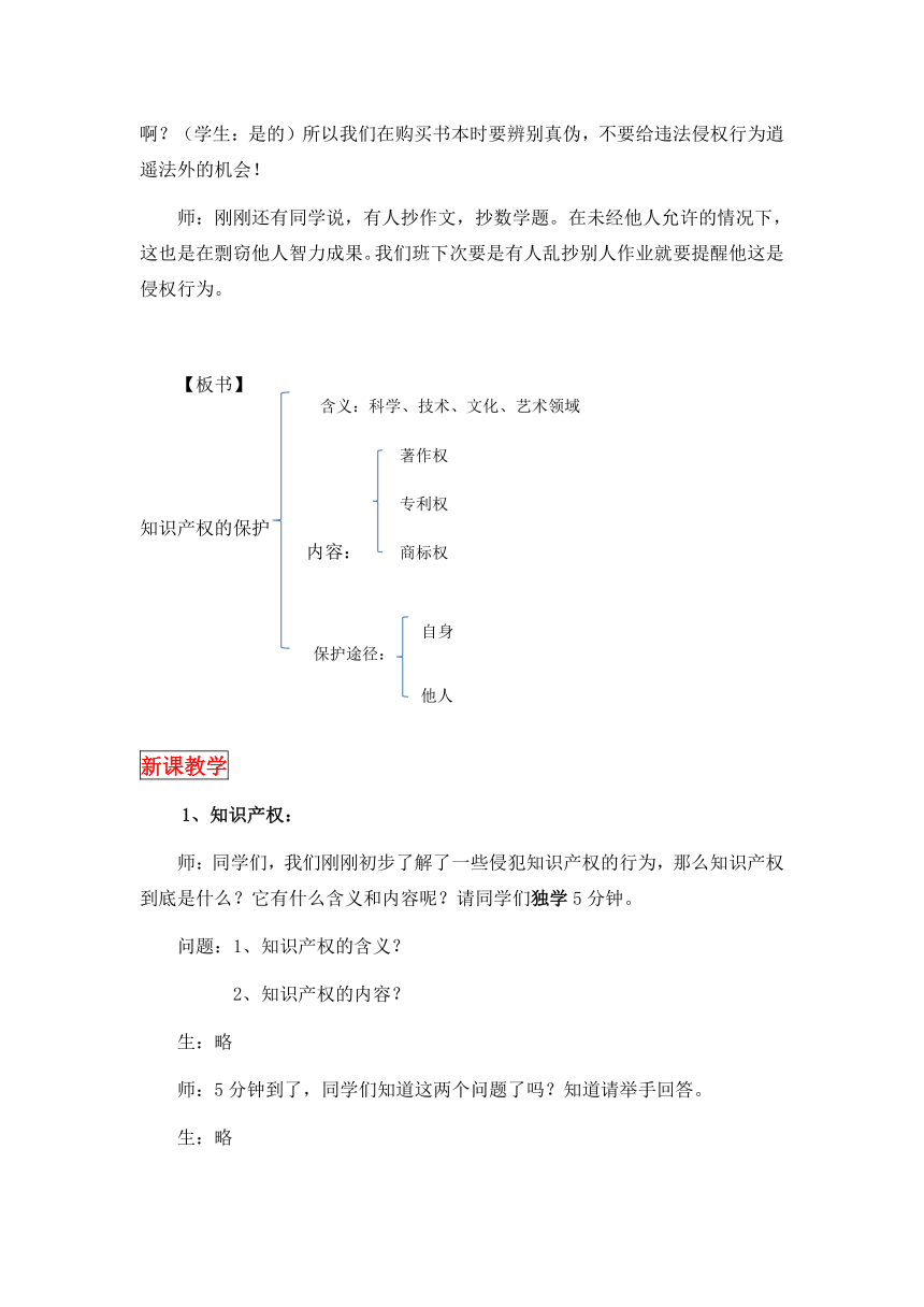 知识产权的保护教案