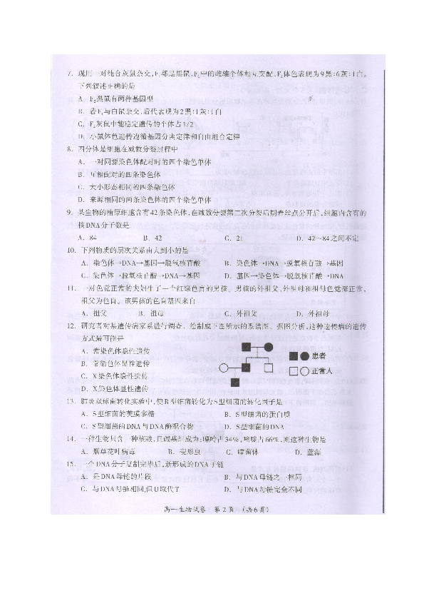广西桂林市2019-2020学年高一下学期期末质量检测生物试卷 图片版