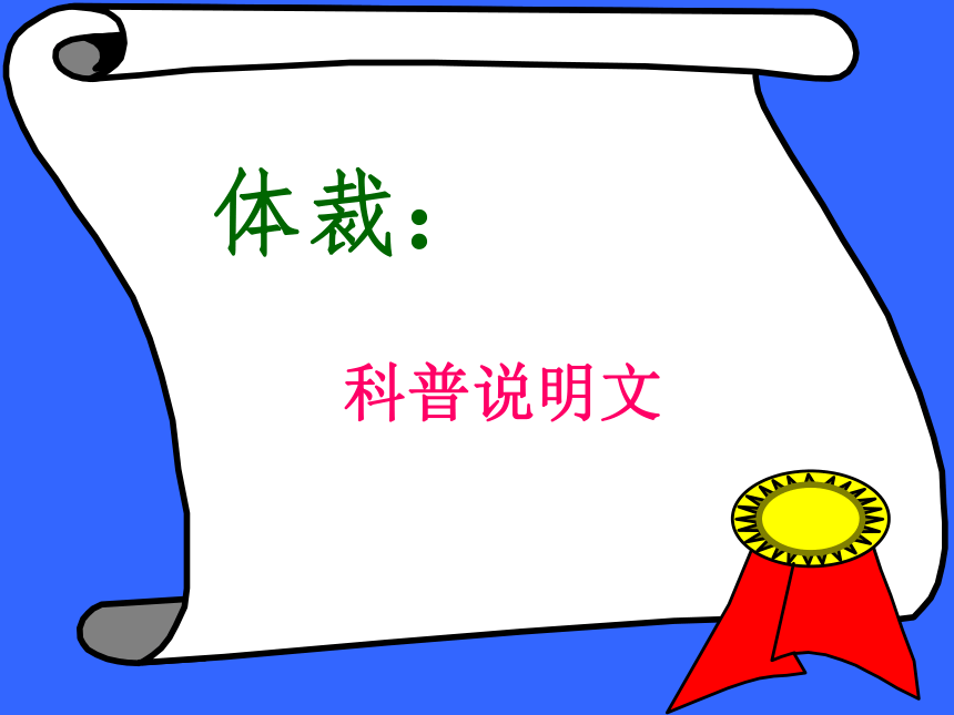 《松鼠》课件