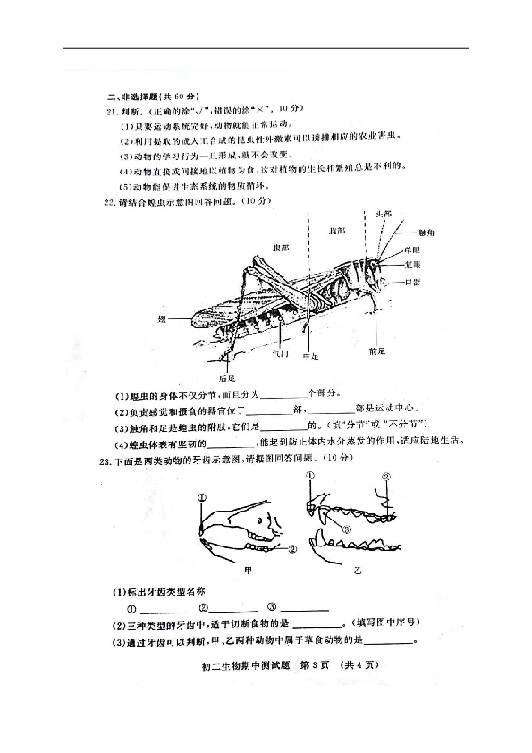 吉林省长春市第七十二中学2018-2019学年八年级上学期期中考试生物试题（扫描版，含答案）