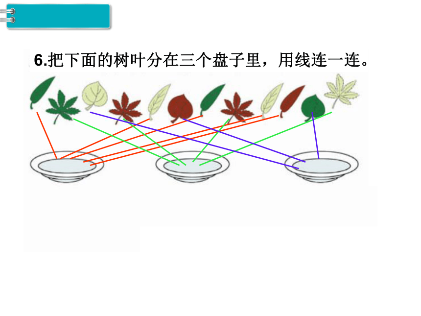 一年级下册数学课件-第3单元 分类与整理 第3课时 练习课人教新课标（2014秋） (共20张PPT)