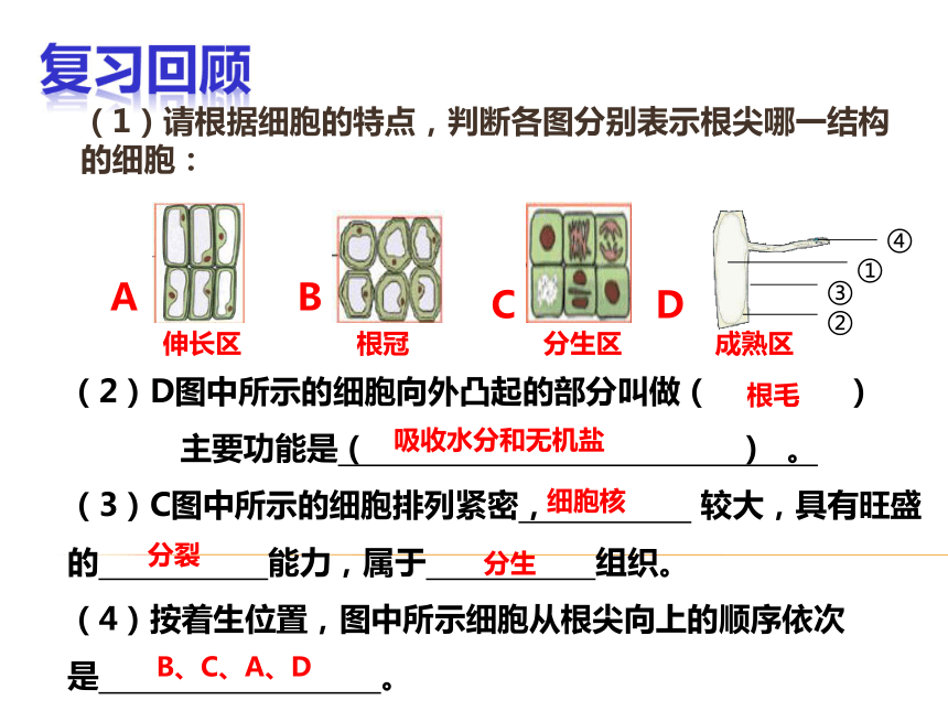 打包2份20212022學年山東省棗莊市第十五中學濟南版八年級上冊生物