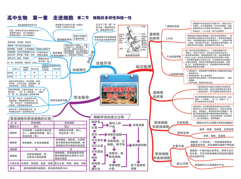 高中生物-思维导图