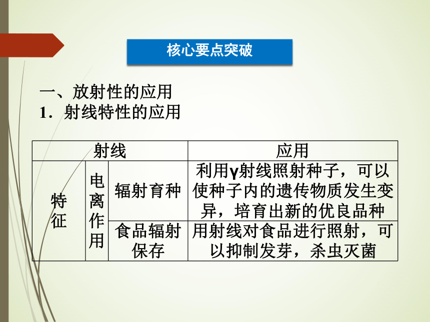 第3章第3节 放射性的应用与防护 课件 (1)