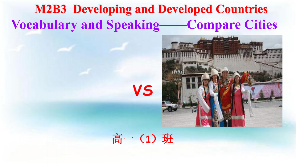 Module 2 Developing and Developed Countries Speaking and vocabulary 课件（21张PPT）