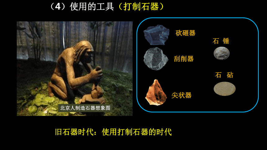 第1课 中国境内早期人类的代表—北京人   课件（26张PPT）