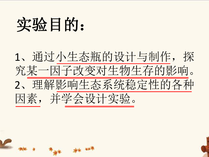 5.3 生态系统的稳定性——探究某一因子改变对生态瓶的影响 课件(共12张PPT)