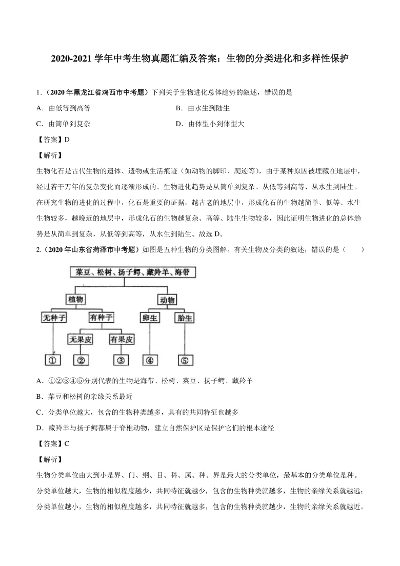 2020_2021学年中考生物真题汇编生物的分类进化和多样性保护（PDF版含解析）